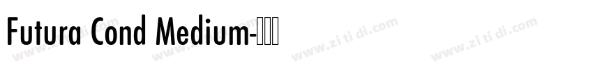 Futura Cond Medium字体转换